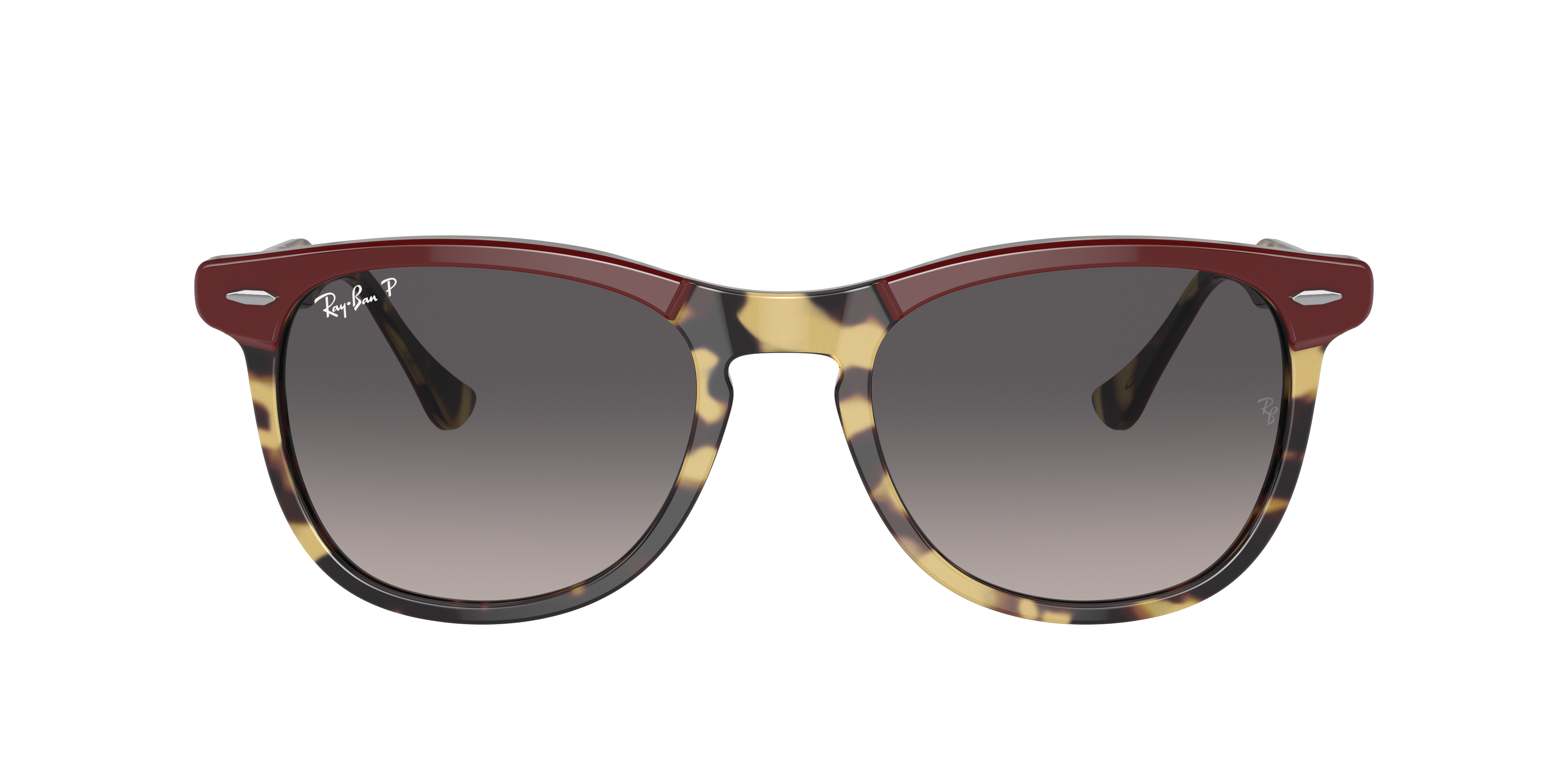 RED ASHAY LIONレッドアッシェイ ライオンFrosted Glass RED ASHAY