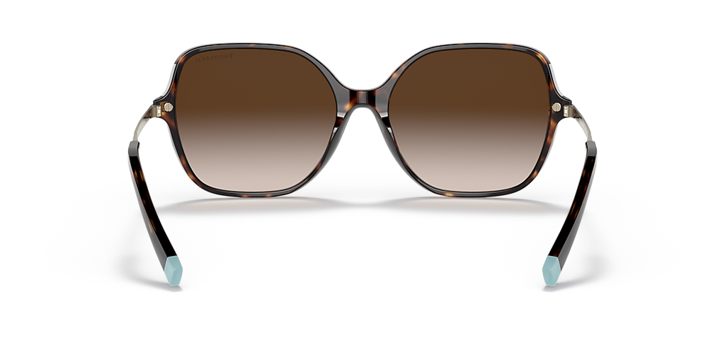 Tiffany & Co. TF4191 XL (57 - 17) with Brown lenses and Tortoise