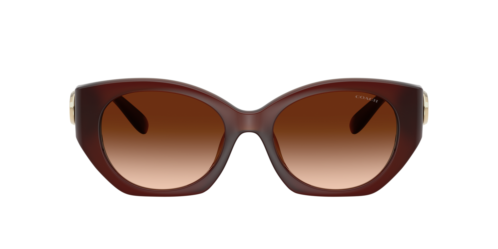 Coach Brown Gradient Sunglasses Elegant Design Sunglasses Coach HC8419U CAD25 | Free Shipping | Glasses.com® main image 3