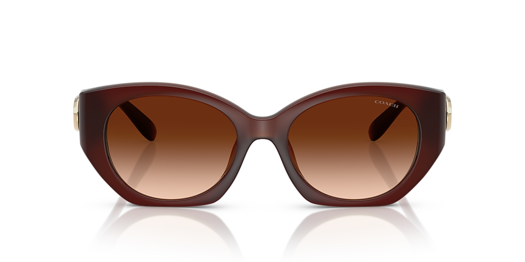 Coach CW194 M (52 - 18) with Brown lenses and Brown frame