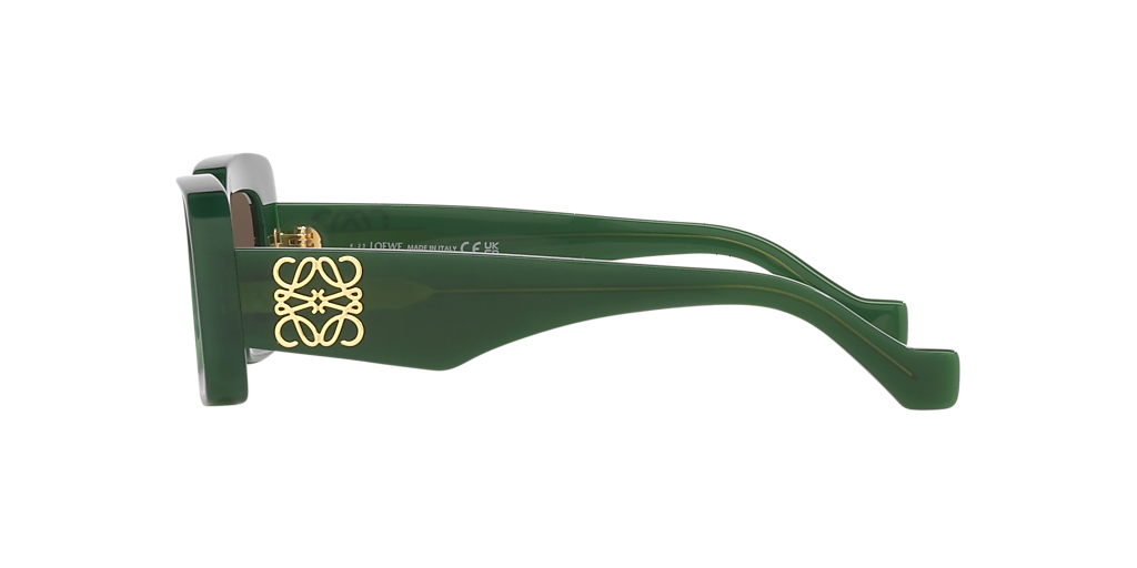 Loewe Lw40101I XXS (46 - 22) with Brown lenses and Green