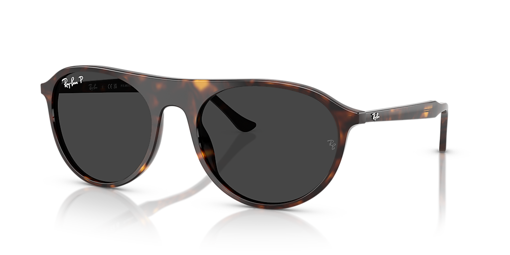Ray-Ban RB2215 XL (56 - 20) with Black lenses and Tortoise frame