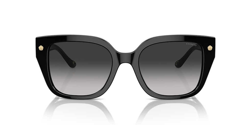 【送料,関税込】 COACH サングラス CR611 HC8392U Coach HC8392U - CR611 Sunglasses | Select Eyewear