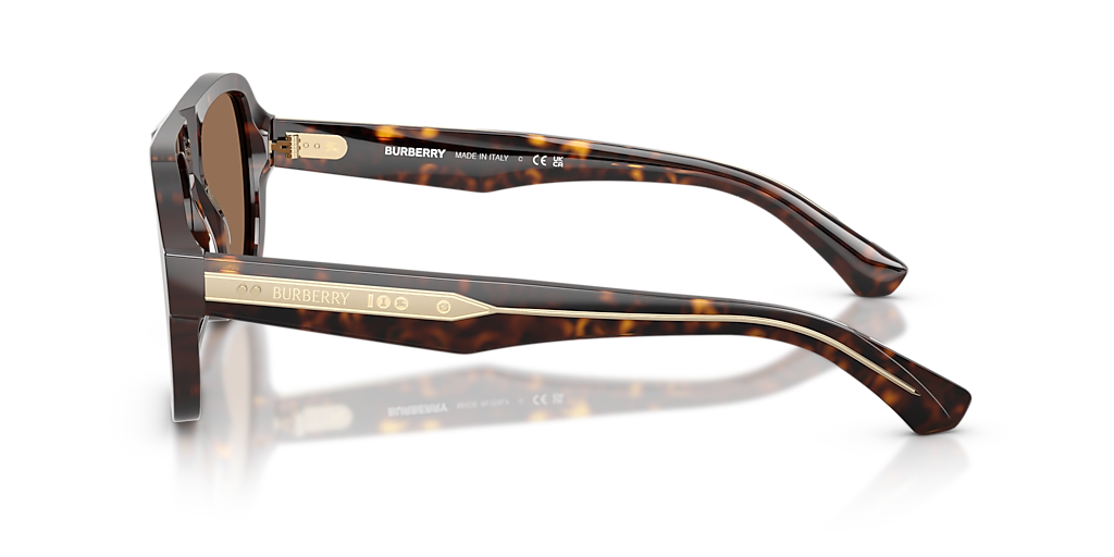 BURBERRY BE4478 Striped Beige - Men Luxury Sunglasses, Brown Gradient Lens