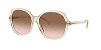 【送料,関税込】 COACHサングラス CH557 HC8360U 641761_1714546099378.jpg