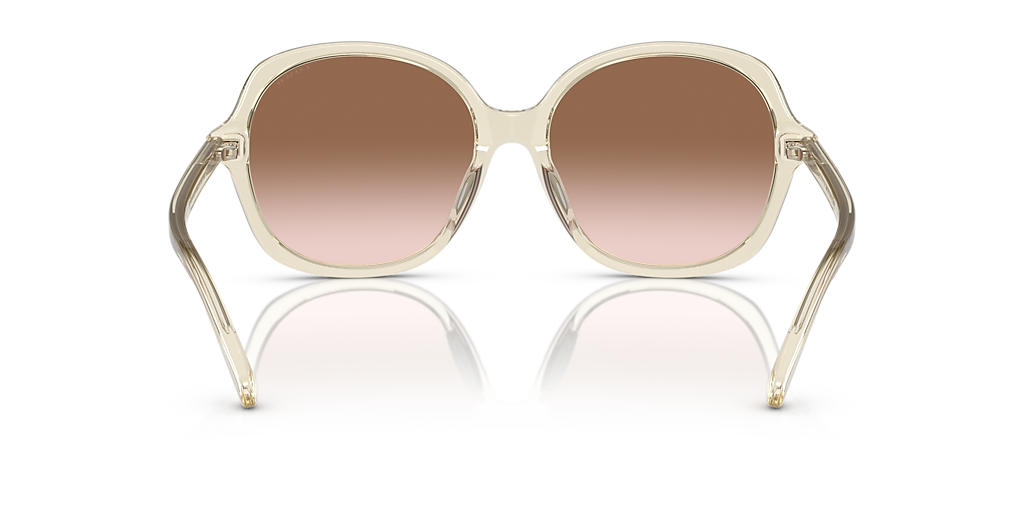 COACH レディース 雑貨 517794 GLD 107 Coach HC8360U CH557 L (57 - 17) with Brown lenses and Brown
