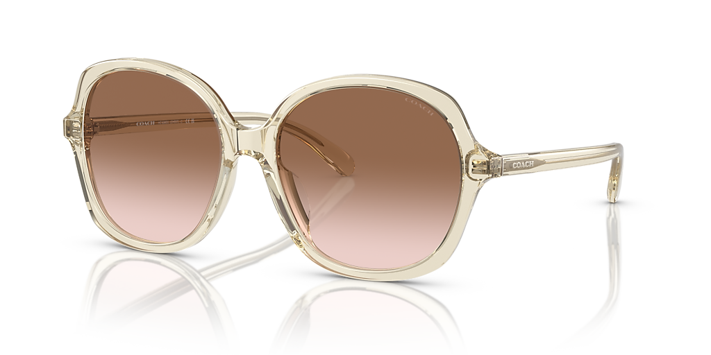 COACH レディース 雑貨 517794 GLD 107 Coach HC8360U CH557 L (57 - 17) with Brown lenses and Brown