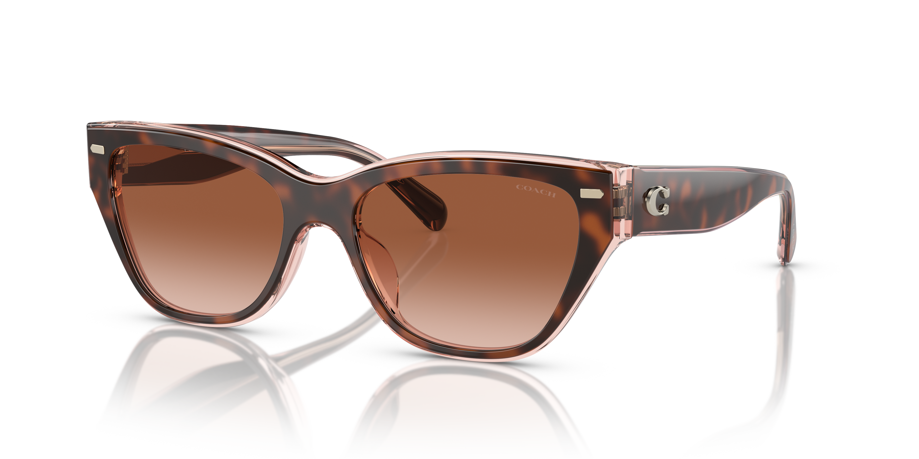Coach HC8370U CH570 M (54 - 17) with Brown lenses and