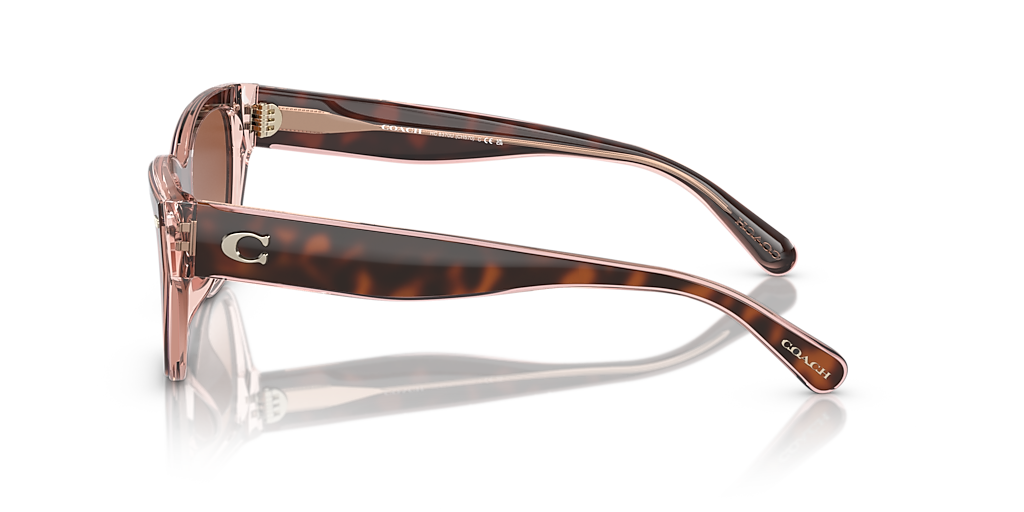 Coach HC8370U CH570 M (54 - 17) with Brown lenses and