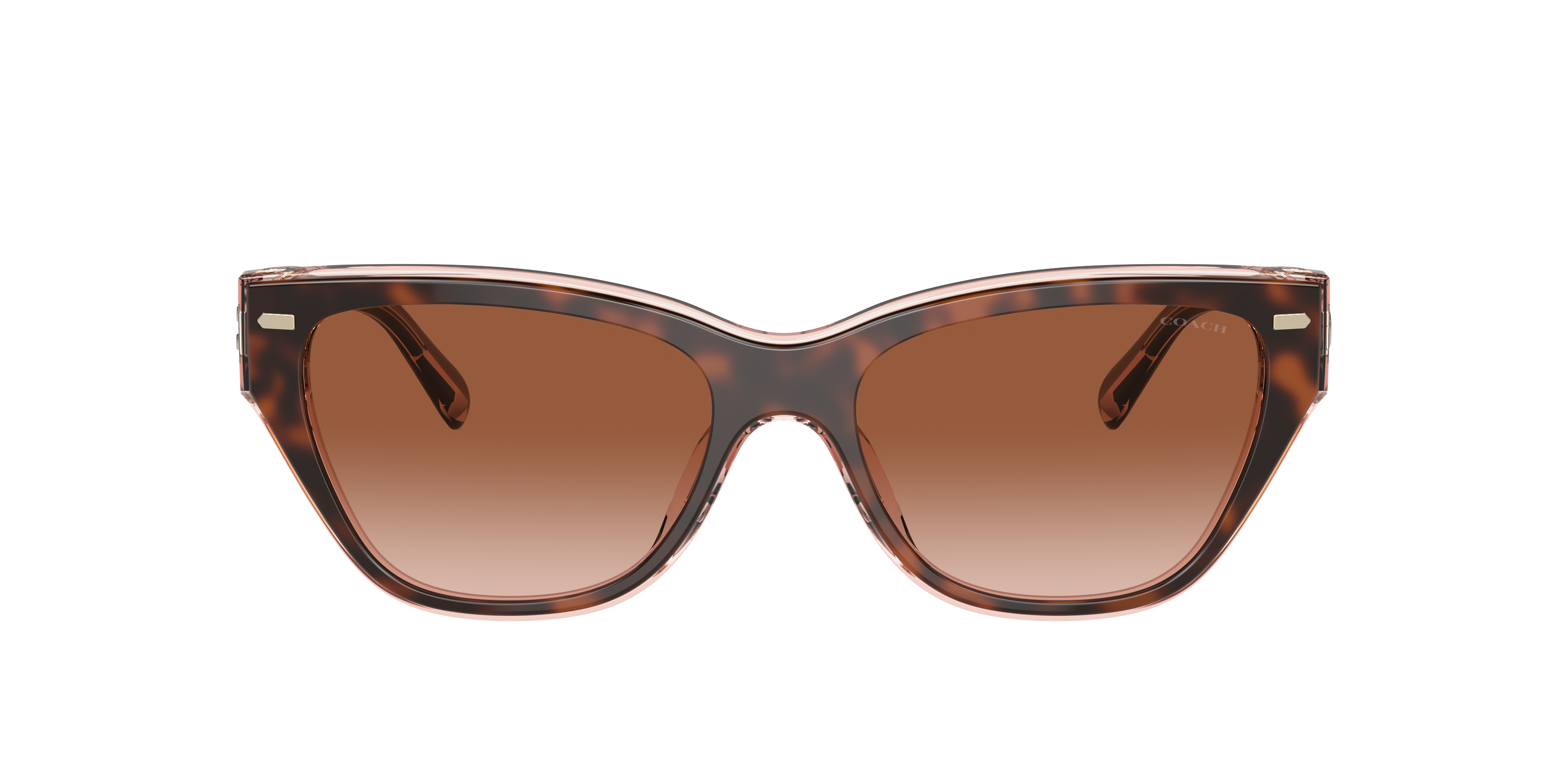 【送料,関税込】 COACH サングラス CH570 HC8370U Coach HC8370U CH570 Sunglasses | LensCrafters