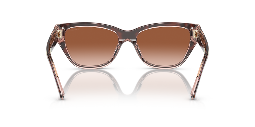 Coach HC8370U CH570 M (54 - 17) with Brown lenses and