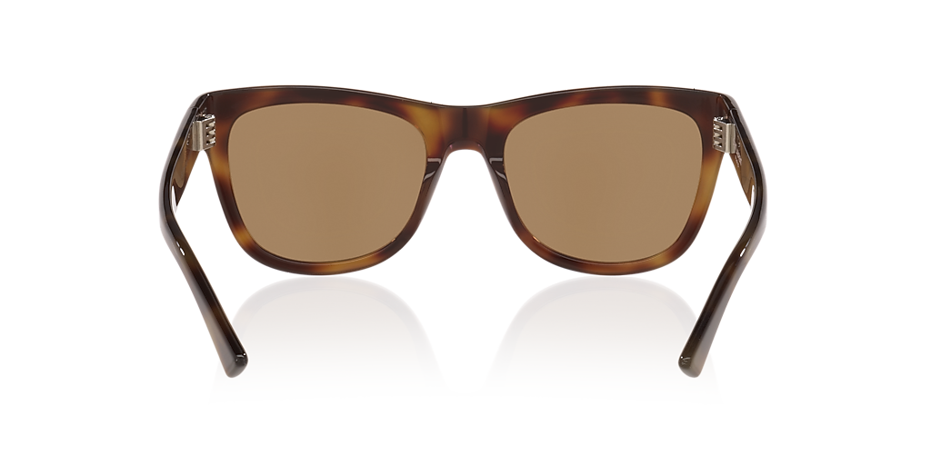 Saint Laurent SL816 M (54 - 19) with Brown lenses and Tortoise