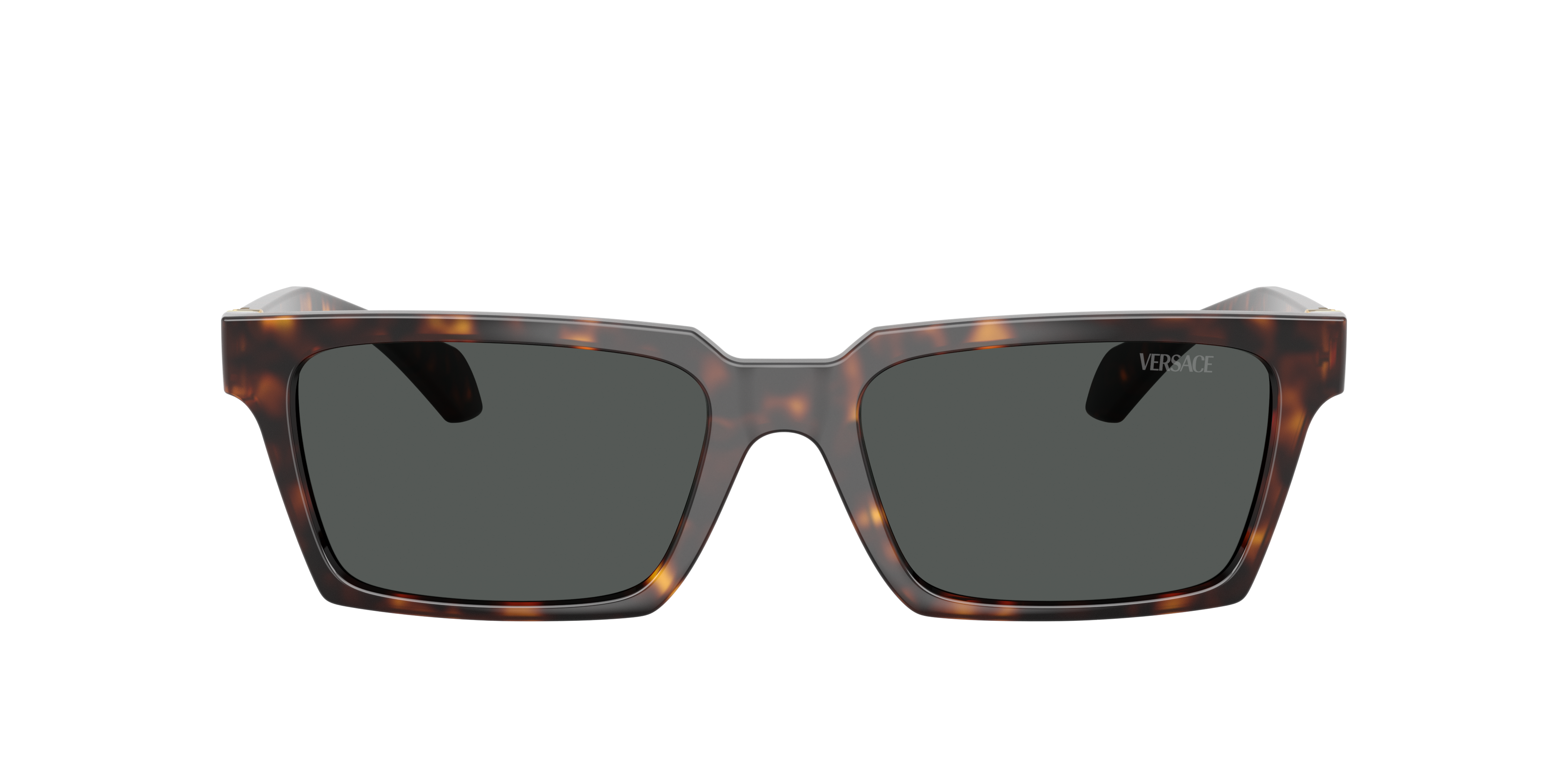 Versace Man Sunglass Ve4490u In Dark Grey
