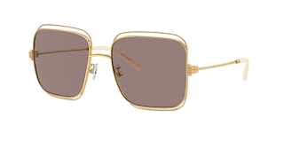 Tory Burch TY6113 XL (55 - 18) with Brown lenses and Gold frame