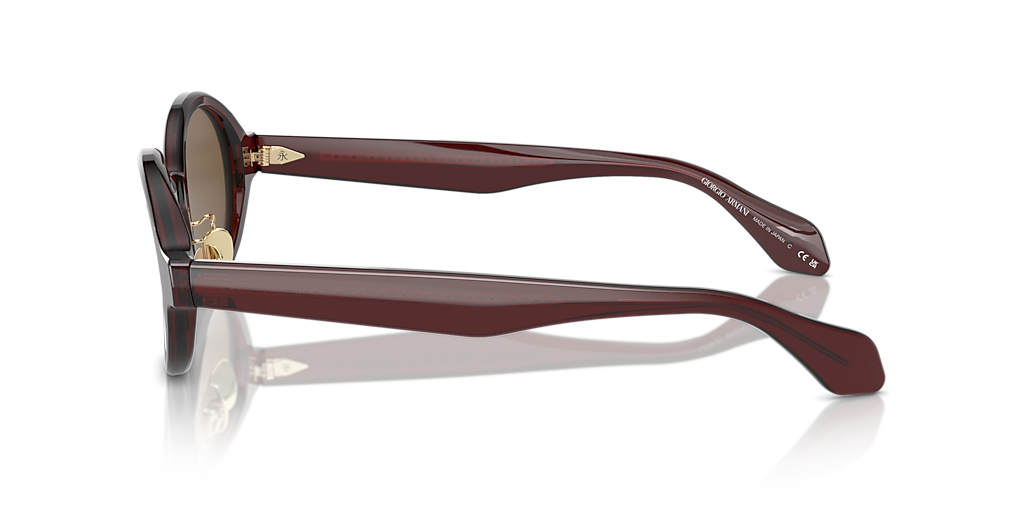 Giorgio Armani AR8205 M (46 - 23) with Brown lenses and Brown