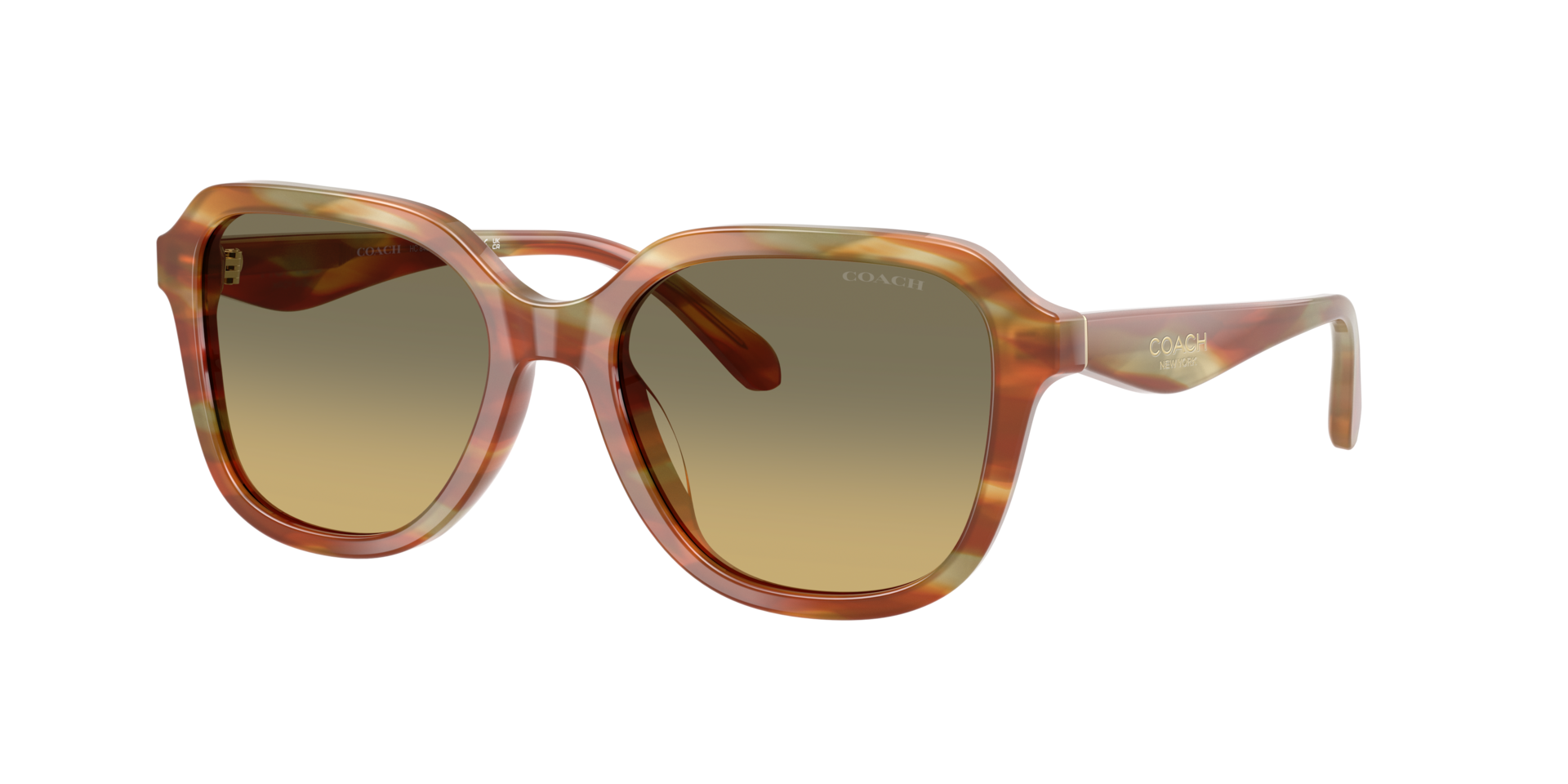 Coach Woman Sunglass HC8437U CBY87 - Frame color: Striated Bark/Moss, Lens color: Green Grey Gradient