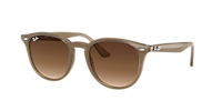 Ray-Ban RB4259F L (53 - 20) with Brown lenses and Tortoise frame