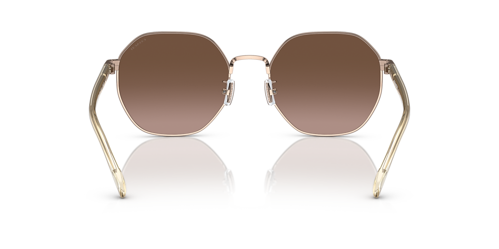 COACH サングラス Coach HC7147 CH556 L (56 - 20) with Brown lenses and Gold frame