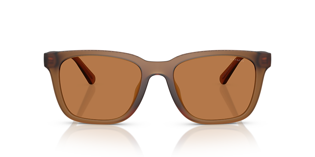 Coach HC8426U CAD81 L (54 - 19) with Brown lenses and Yellow  display picture 1