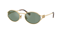 Miu Miu MU 52YS L (54 - 21) with Grey lenses and Gold frame