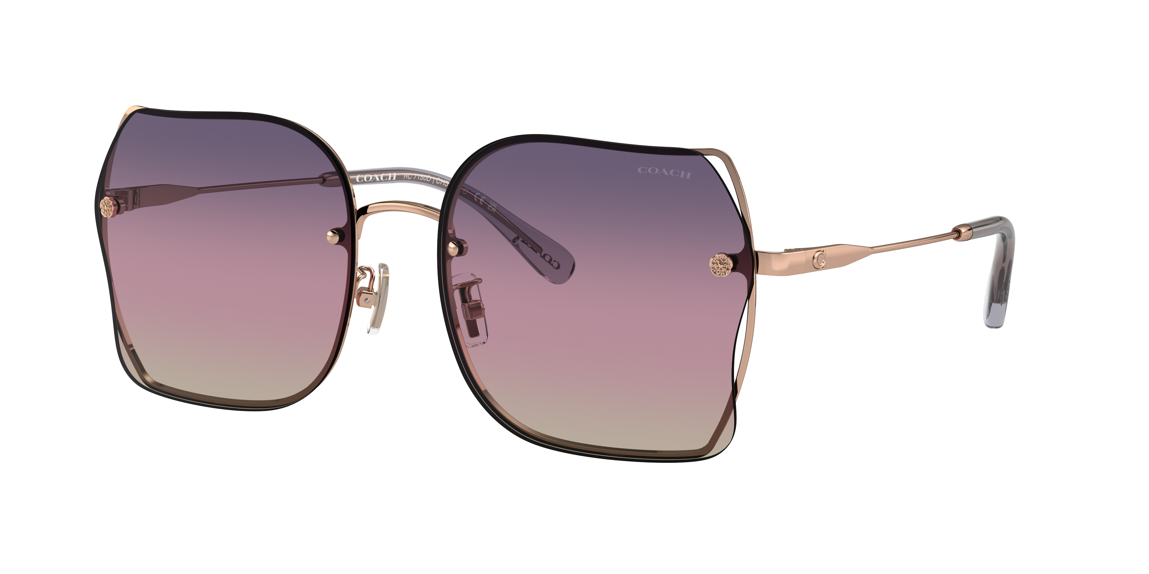 Coach CH574 XXL (60 - 18) with Violet lenses and Gold frame
