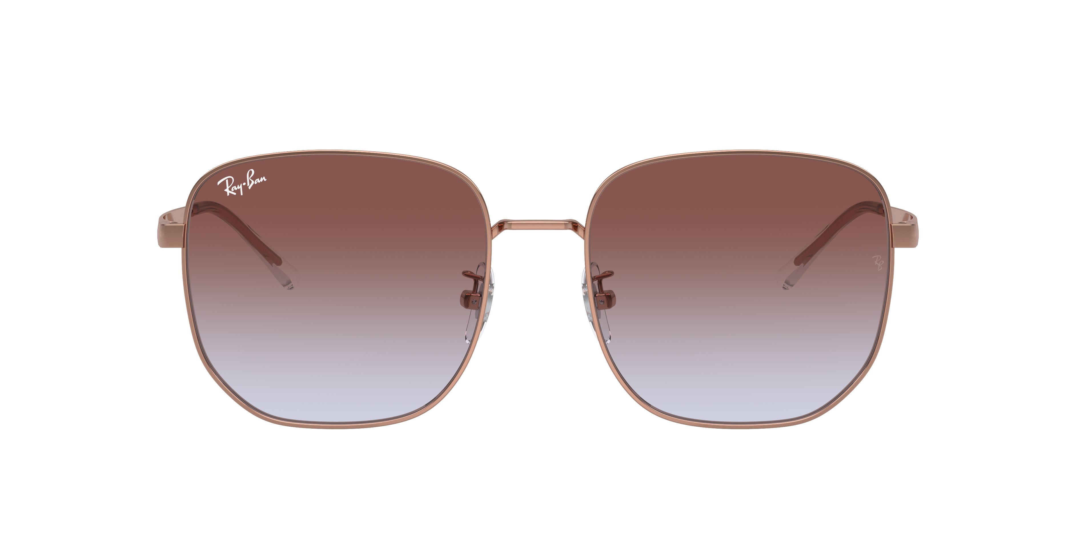 Ray Ban Ray In Violet