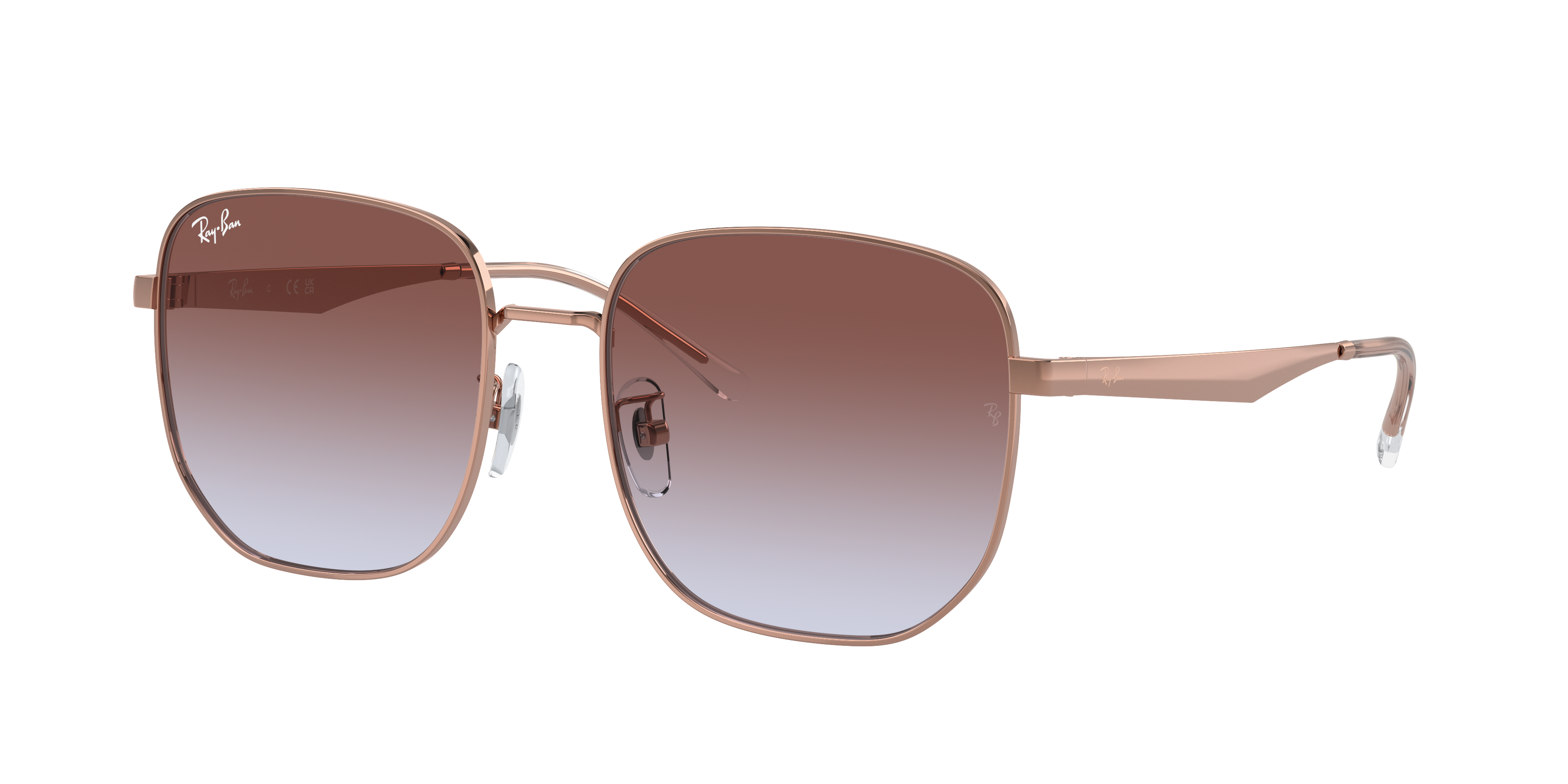 Ray Ban Ray In Violet