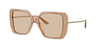 JIMMY CHOO☆ Jimmy Choo JC5048JU XL (55 - 15) with Brown lenses and Brown frame