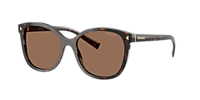 Prada PR 22ZSF M (55 - 16) with Brown lenses and Tortoise frame