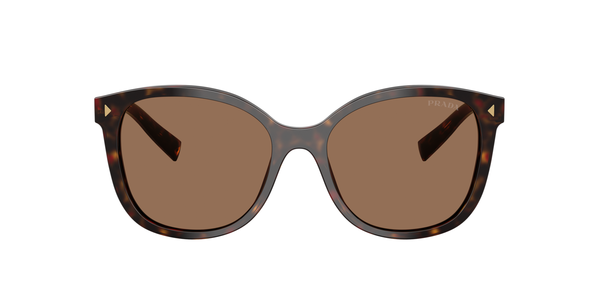 Prada PR 22ZSF M (55 - 16) with Brown lenses and Tortoise  display picture 2