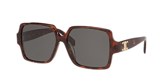 Celine CL40294I S (53 - 19) with Grey lenses and Tortoise  display picture 1