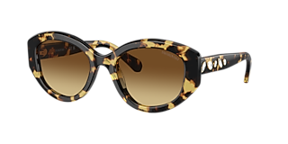 Swarovski SK7007 M (53 - 17) with Grey lenses and Silver frame