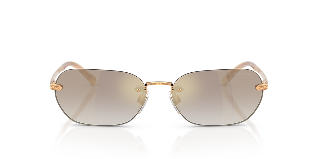 Ralph Lauren RL7089 L (59 - 16) with Brown lenses and Gold  display picture 1