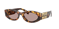 Miu Miu MU 11WS XL (54 - 21) with Brown lenses and Tortoise