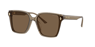 Jimmy Choo JC5008 S (55 - 16) with Brown lenses and Tortoise frame