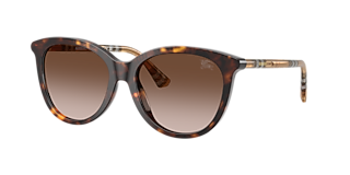 Visit Sunglasses Burberry BE4455 L (55-17) with Brown lenses and Brown frame