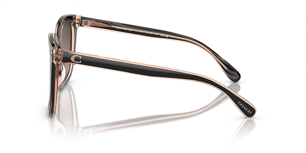 Coach HC8381F CL919 XL (56 - 19) with Violet lenses and Black