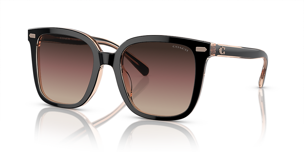 サングラス Chloe PRADA COACH Coach HC7147 - CH556 Sunglasses | Select Eyewear