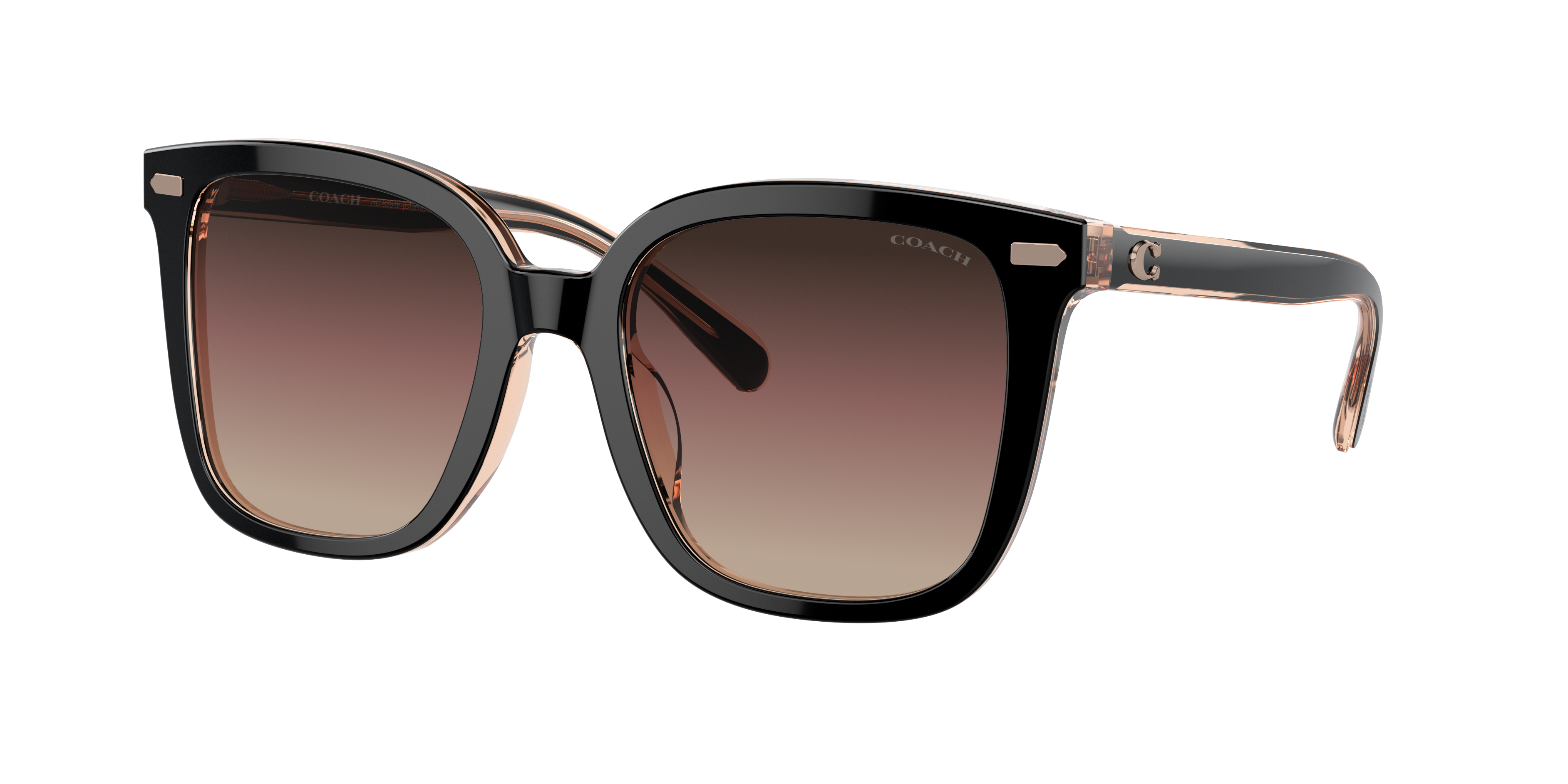 Coach HC8381F CL919 XL (56 - 19) with Violet lenses and Black