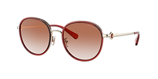Coach HC8380U CL922 M (54 - 19) with Grey lenses and frame