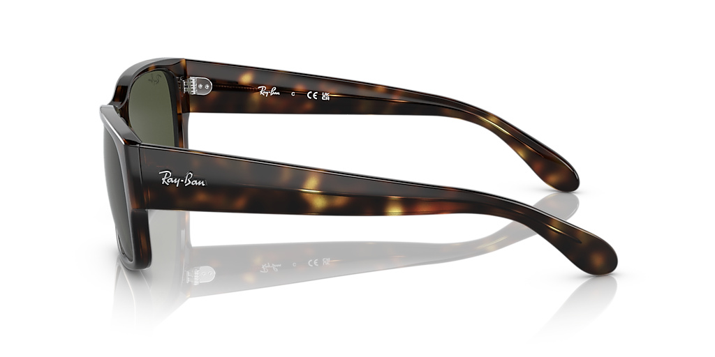 RayBan RB4388 レイバン サングラス クリア グラサン レイヴァン レイバン公式ストア】 Ray-Ban® RB4388 サングラス