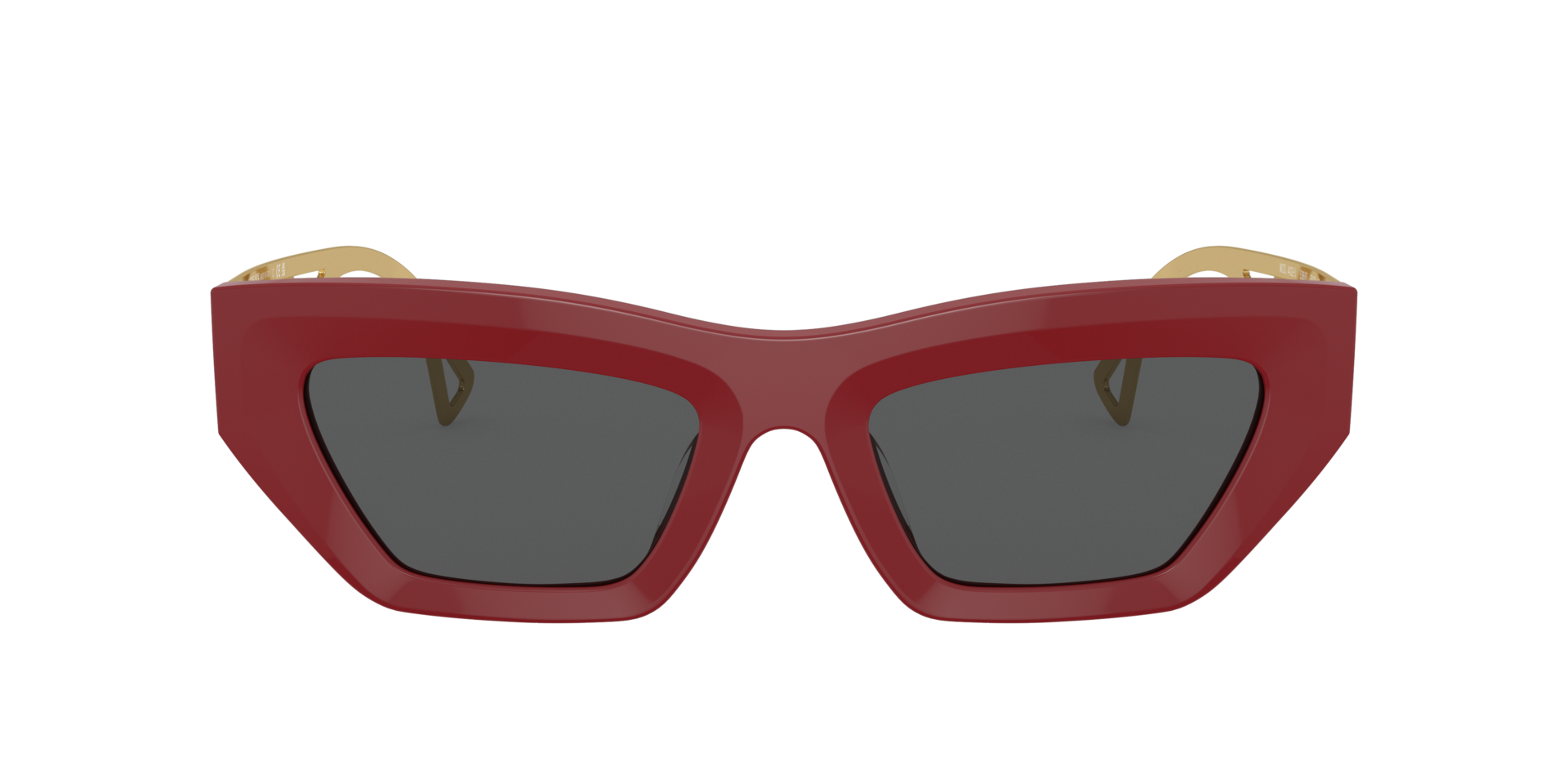 Versace VE4432U XL (53 - 20) with Grey lenses and Red frame  display picture 3