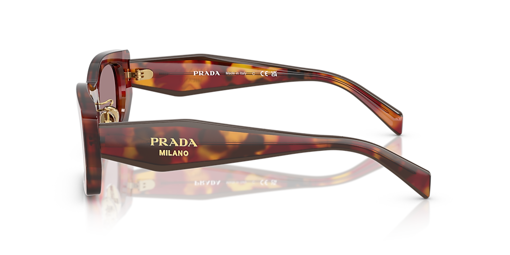 Prada PR B05SF L (53 - 19) with Violet lenses and Tortoise