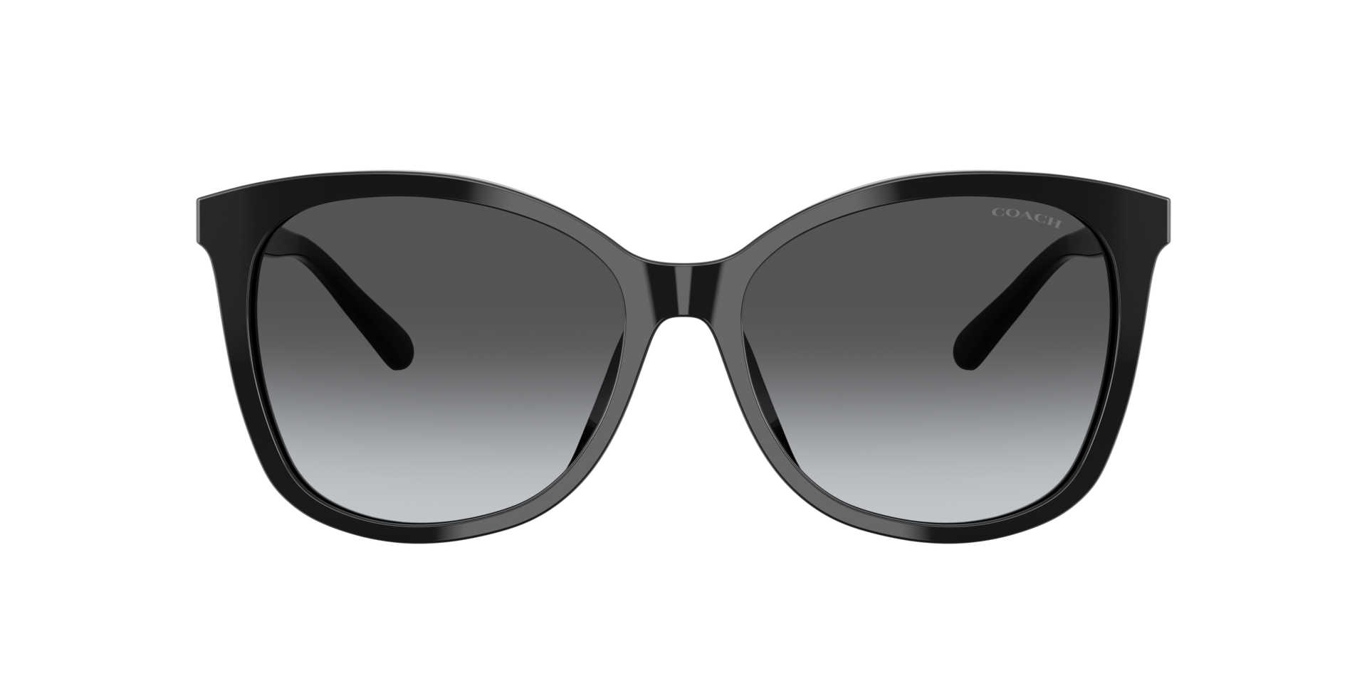 Coach L1101 M (57 - 16) with Grey lenses and Black frame 