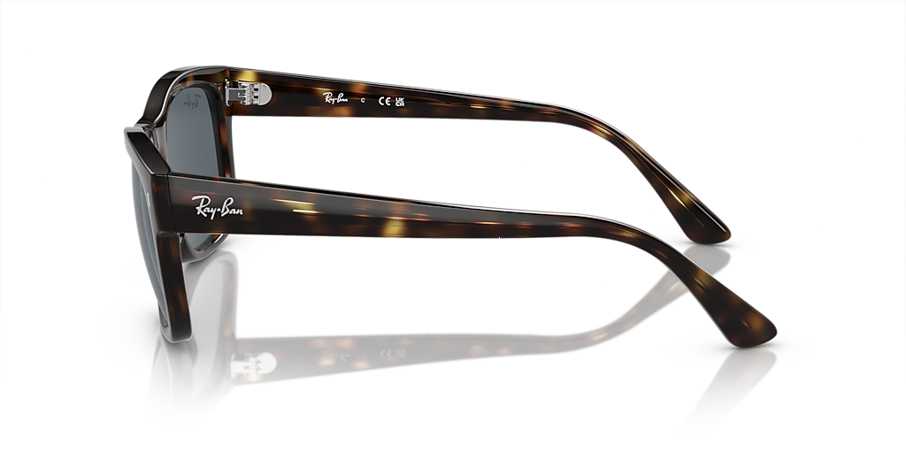 RAY-BAN RB4428 Black - Unisex Sunglasses, Black Lens