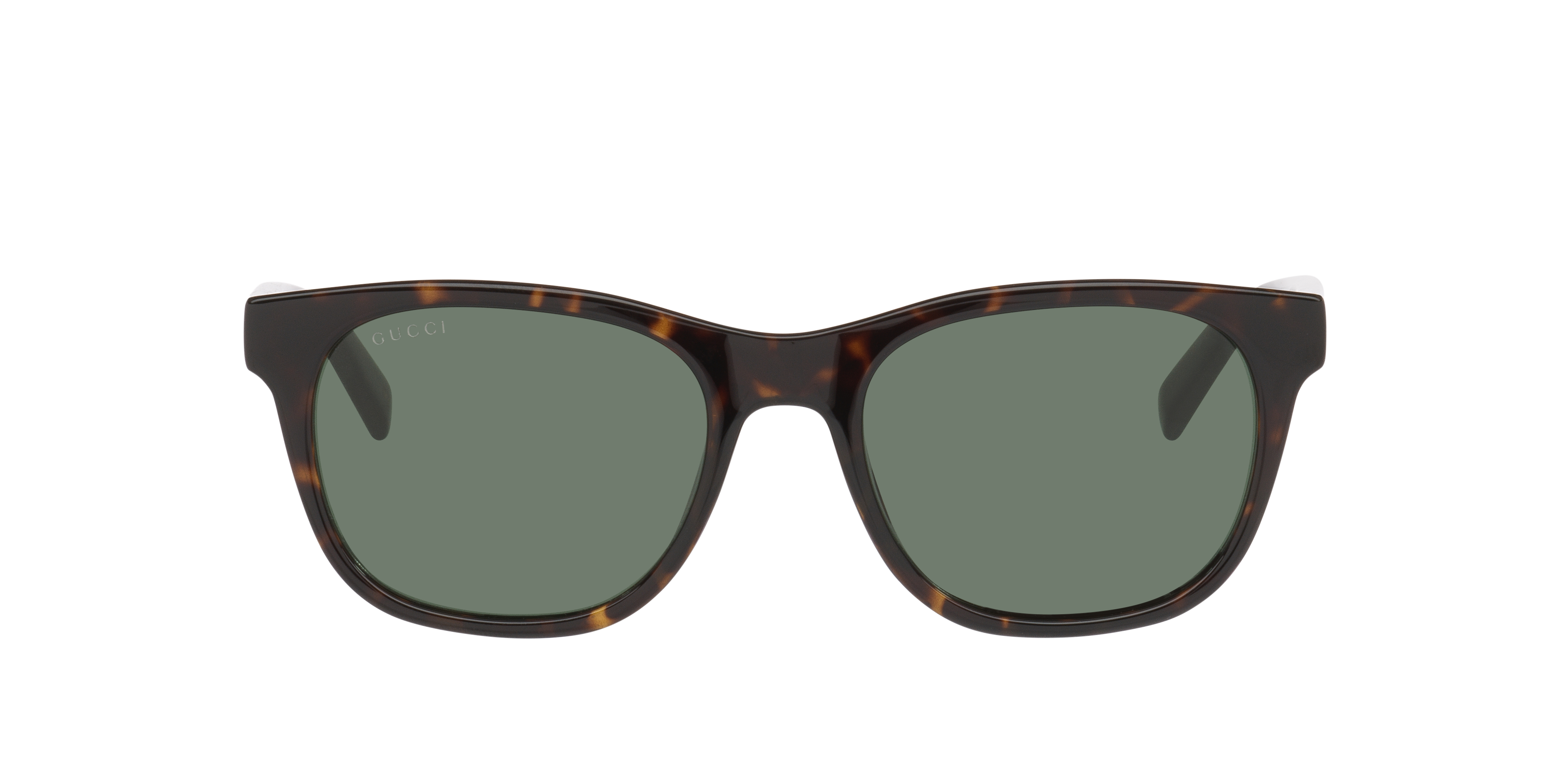 Gucci GG1985S M (54 - 19) with Green lenses and Tortoise frame
