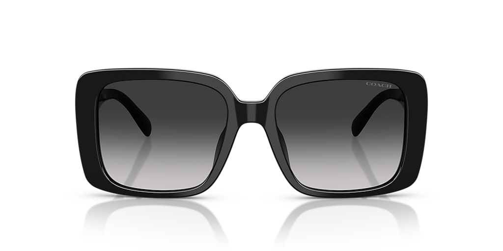 Coach CAD54 M (54 - 18) with Grey lenses and Black frame  display picture 3
