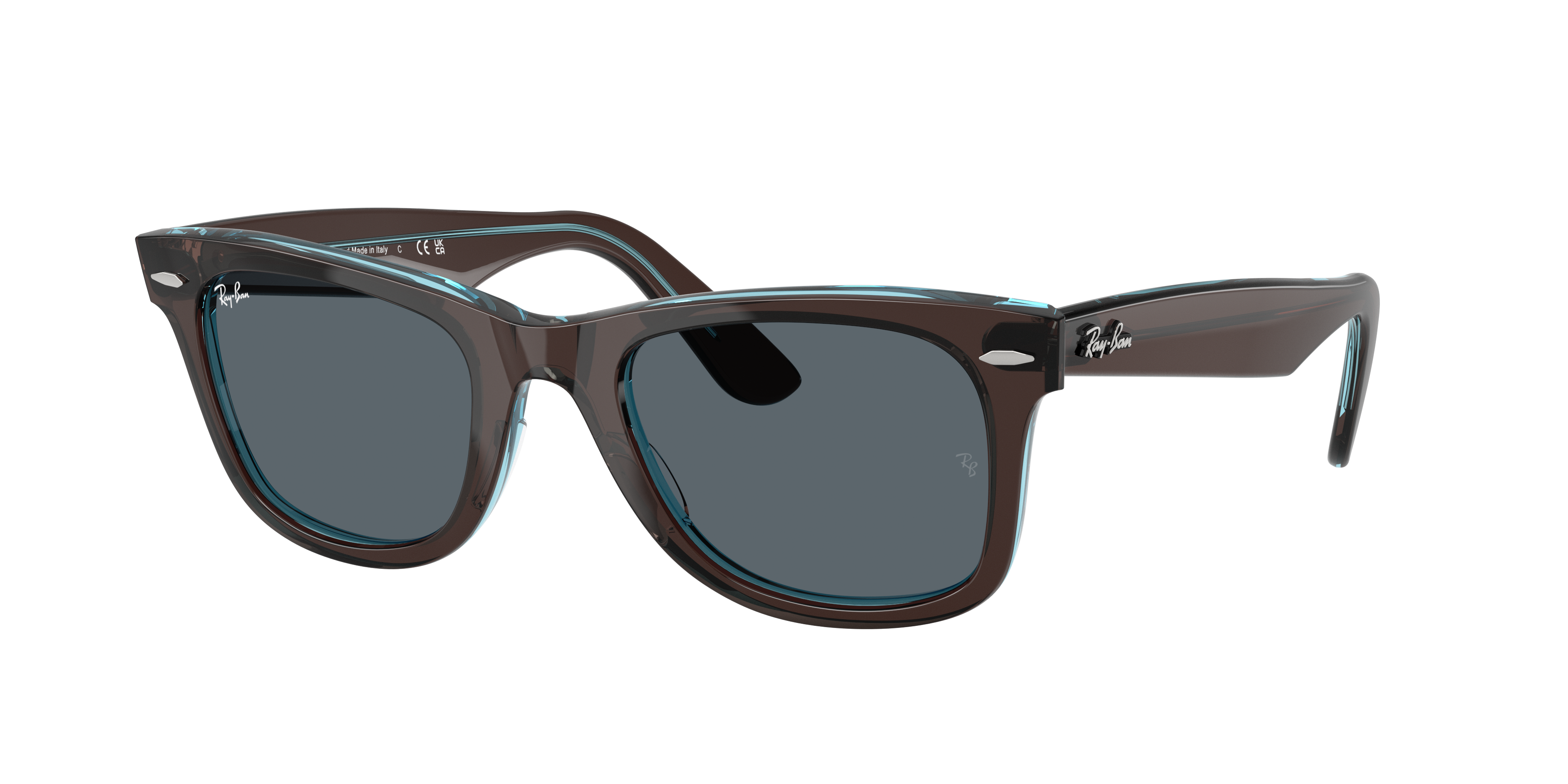Ray Ban Ray In Brown