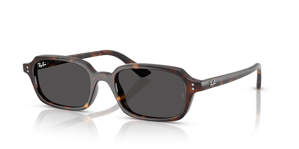 Ray-Ban RB4455F Zuri Bio-Based M (51 - 19) with Grey lenses and