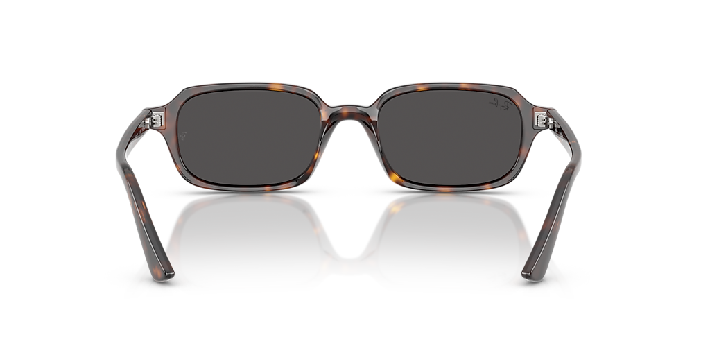 Ray-Ban RB4455F Zuri Bio-Based M (51 - 19) with Grey lenses and